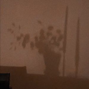 Meet your Posher, Mandolynne